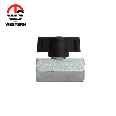 Model:W-2025
