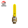 Model:W-1178